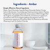 THE CLEAN PEOPLE Cleaner Concentrate - All-Purpose Cleaner for Multi-Purpose