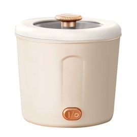 Mini Electric Hot Pot Students Dormitory Travel Multifunctional Small Electric Hot Pot