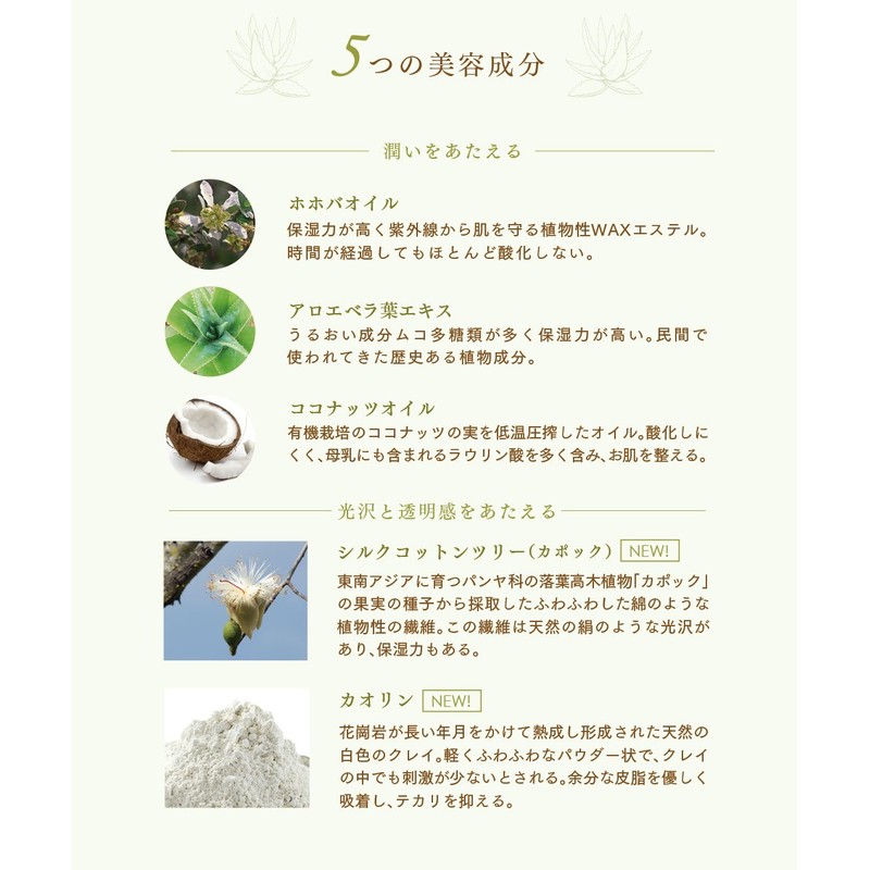 amritara skin dress powder refill