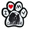 Picture Paws | Dog Paw Shaped Magnets: I LOVE MY
