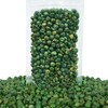 Smart Stop Fried Green Peas Salted (5 Pound (Pack of