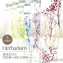 Herbarium