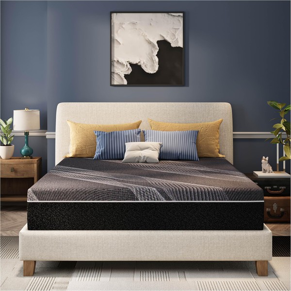 CH CHARME HOUSE Bamboo-Charcoal Twin XL Memory Foam Mattress 10