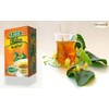 Isis Tilia Tila Tea 100% Egypt Egyptian Organic Natural Herbal