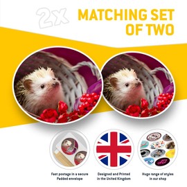 2 x 15cm Vinyl Stickers - Cute Baby Hedgehog Pygmy Albino Decals 14360