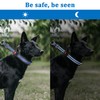 Mayerzon Martingale Collar for Dogs, No Pull Dog Collar with