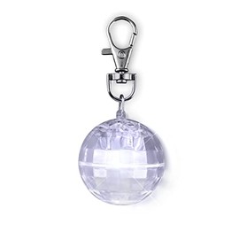 Light Projecting Pet Light and LED Keychain