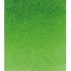シュミンケ ホラダム透明水彩絵具 シュミンケ ホラダムチューブ 530 サップグリーン 14530001