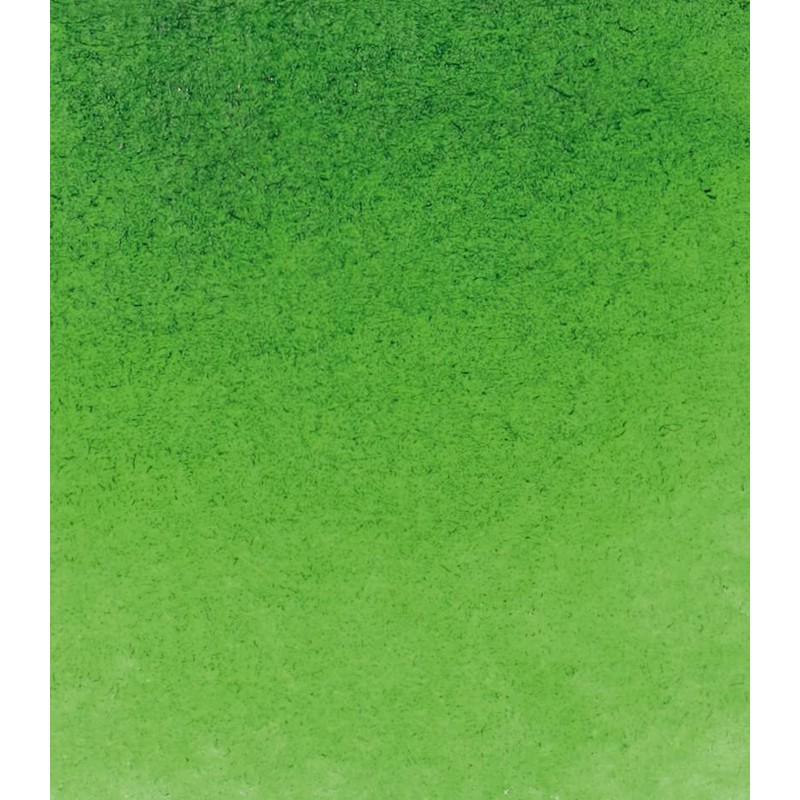 シュミンケ ホラダム透明水彩絵具 シュミンケ ホラダムチューブ 530 サップグリーン 14530001