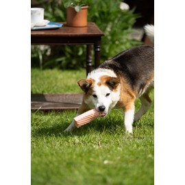 Petface Pink Wafer Latex Dog Toy (Pack of 1)