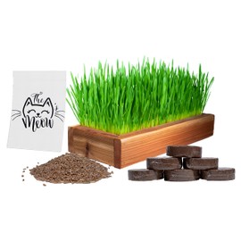 Complete Organic Wheatgrass, Cat Grass Kit by Cali Kiwi Pros. American Cedar Wood Planter (17x6x3) with Organic Wheatgrass Seeds and Soil, Made in The USA (Natural)