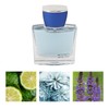 Women Perfume Long Lasting Light Perfume Refreshing Fragrance Spray for