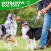 TOONOVEL Dog Interactive Toys, Dog Bone Chew Toys, Tooth Cleaning
