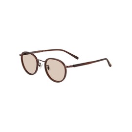 Zofu UNITED ARROWS SUNGLASSES Boston-type Sunglasses, Unisex, UV Protection, UV Protection, Stylish, Men's, 48 □ 22-145, brown (clear)