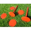 NSY 6 Pack Survey Marker/Survey Stakes/Property Marker Permanent/Ground Marker/Lot Linemarker/Boundary