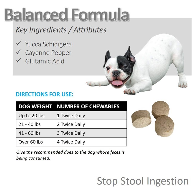 Vet Worthy Stop Stool Ingestion Liver Flavored Chewables for Dogs