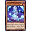 Yu-Gi-Oh! - Necroworld Banshee - SR07-EN002 - Super Rare -
