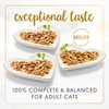 Purina Fancy Feast Delights with Cheddar Grilled Chicken, Turkey or
