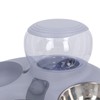Double Cat Bowls Pet Food and Water Bowl Set Tilted