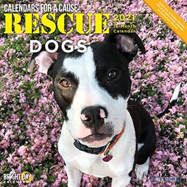 Cal 2021- Rescue Dogs Wall