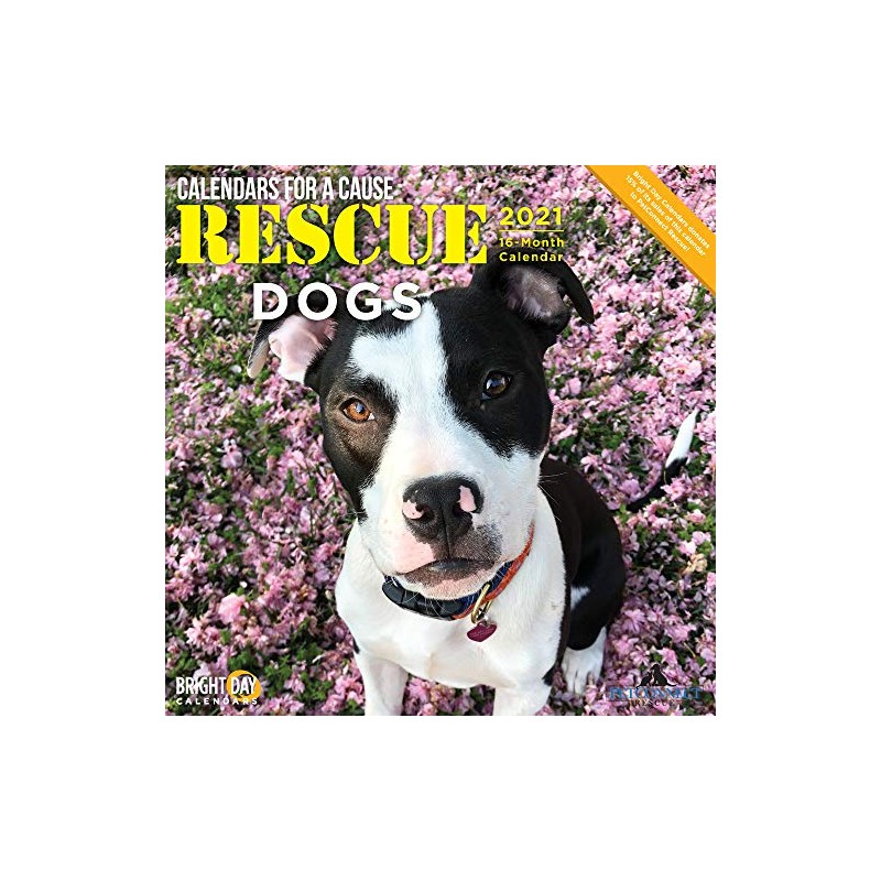 Cal 2021- Rescue Dogs Wall