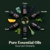 Laguna Moon Aromatherapy Essential Oils Travel Case Bag 10 Bottle