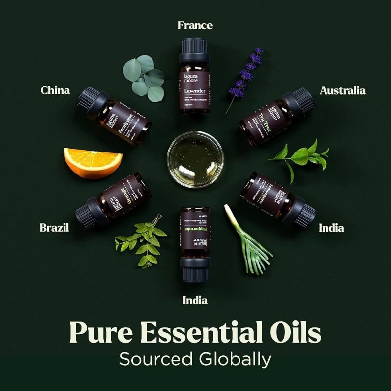 Laguna Moon Aromatherapy Essential Oils Travel Case Bag 10 Bottle