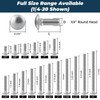 1/4-20 x 1-1/4 Inch Carriage Bolt Kit, 304 Stainless Steel