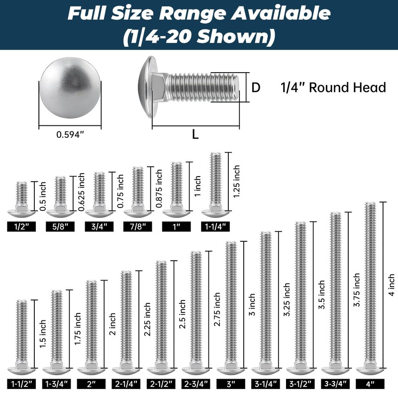 1/4-20 x 1-1/4 Inch Carriage Bolt Kit, 304 Stainless Steel