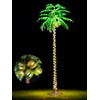 HEYCOLOR 7 FT LED Lighted Palm Tree with Coconuts Outdoor