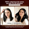 Herbishh - Champú colorante para cabello gris, champú con tinte