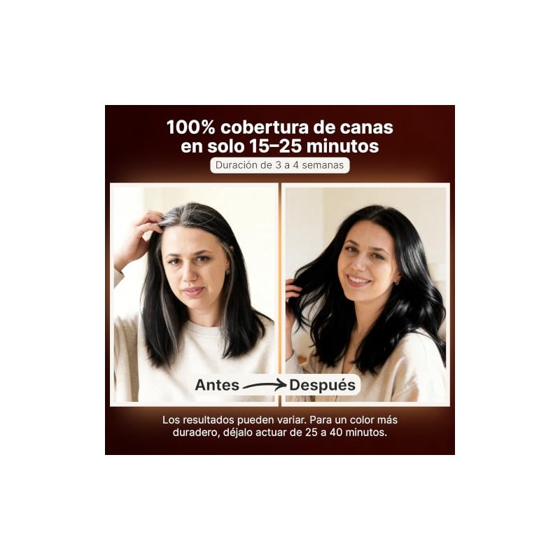 Herbishh - Champú colorante para cabello gris, champú con tinte