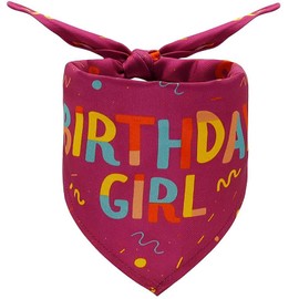 Lcekterur Dog Birthday Party Supplies Dog Birthday Girl Bandanas Party Pet Supplies Triangle Scarf Accessories and Decoration for Small Medium Large Dogs