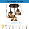 ZGYLIN Farmhouse Rustic Ceiling Light Fixture,Black Metal Cage Pendant Lights