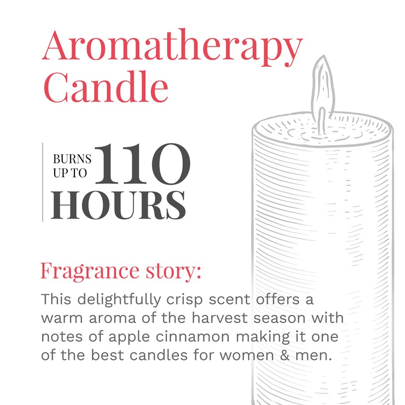 Candle-lite Scented, Apple Cinnamon Crisp Fragrance, One 18 oz. Single-Wick