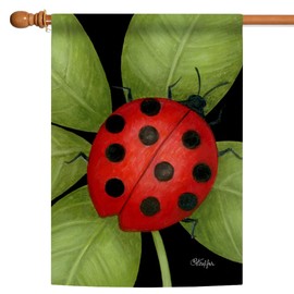 Toland Home Garden 108234 Ladybug Ladybug Flag 28x40 Inch Double Sided Ladybug Garden Flag for Outdoor House Flag Yard Decoration