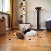 WLSuDHoncc Furry Mice Cat Toy Wind Up Realistic Mouse Toys