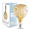 Bulbrite LED Grand Filament Nostalgic Orb Shaped Light Bulb, 60