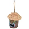 Hand Made Birdhouse Covered Resin Bird Feeder for Home Garden