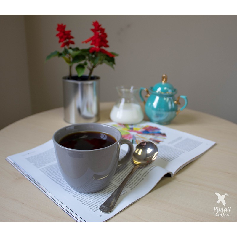 Pintail Coffee Hazelnut Blend Single Serve, 12 count