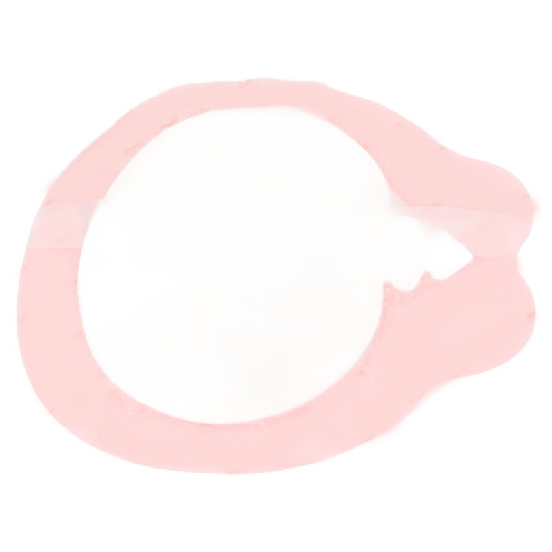 Silicone Foam Dressing Waterproof High Absorbency Self Adhesive Wound Dressing