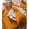 DII Camino de Mesa, Mantel Individual, Pumpkin Spice, Placemat, 1,