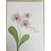 PAPYRUS ORCHID FLOWERS BLANK INSIDE ALL OCCASIONS CARD