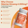 Siberian Ginseng Tablets | Supports Mental Performance & Reduces Fatigue