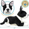 Baxter The Boston Terrier - 12 Inch Stuffed Animal Plush