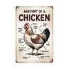 Anatomy of a Chicken