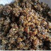 Guggal Loban Dhoop Powder for Puja and Havan Ceremonies, 10