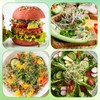 Updated Sprouting Kit, Seed Sprouting Jars with Sleeves and Lids,