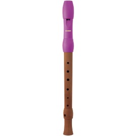 HOHNER Alegra Line Recorder, Pink, German, Two-Piece