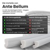 Ante Bellum Q-Lon Draught Excluder Window Sealing Tape - Insulating